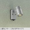 DOL-4407YSE アウトドアライト/スポットライト/非調光 一般タイプ DAIKO(大光電機) 58705906