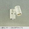 DOL-4407YWE アウトドアライト/スポットライト/非調光 一般タイプ DAIKO(大光電機) 58705915