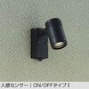 DOL-4589YB アウトドアライト/スポットライト/非調光 一般タイプ DAIKO(大光電機) 58705967