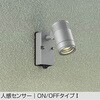 DOL-4589YSE アウトドアライト/スポットライト/非調光 一般タイプ DAIKO(大光電機) 58705976