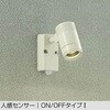 DOL-4589YWE アウトドアライト/スポットライト/非調光 一般タイプ DAIKO(大光電機) 58705985
