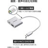 ECAD-CHDMI100SV USB Type-C HDMI 変換アダプタ PD100W充電ポート搭載 4K対応 【 USB-Cポート搭載 iPhone iPad 】 エレコム 58762439