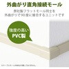 LD-GAFD2M 配線カバー モール 接続ユニット 出ズミ 【 壁用 フラットモール LD-GAF2M 専用 】 エレコム 58763096