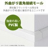 LD-GAFD3MWH 配線カバー モール 接続ユニット 出ズミ 【 壁用 フラットモール LD-GAF3MWH 専用 】 エレコム 58763148