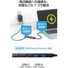 U3HC-H042PBK USB Type-C �n�u 4�|�[�g ���� PD 100W �y MacBook iPad Windows ���Ή� �z ���^ C�~2 A�~2 �G���R�� 58763577