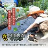 NINJA}`