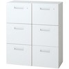 L6 スタンダードタイプ ダブルバーチカルキャビネット(連結サービス付き) プラス(家具)