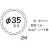58899906