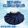 27731 氷のう アーテック[学校教材・教育玩具] 58936276