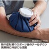 27731 氷のう アーテック[学校教材・教育玩具] 58936276