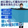 27749 冷感タオル 超大判サイズスカイブルー アーテック[学校教材・教育玩具] 58936310