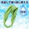 19106 冷感ヘアバンド アーテック[学校教材・教育玩具] 58936608