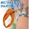 19107 冷感ヘアバンド アーテック[学校教材・教育玩具] 58936617