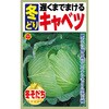 【種 たね タネ】遅くまでまける 冬どり キャベツ アタリヤ農園