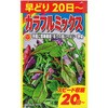 【種 たね タネ】早どり20日～ カラフルミックス アタリヤ農園