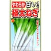 【種 たね タネ】やわらか 甘い! 極太ねぎ アタリヤ農園