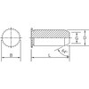 ZtN`OKChs TGP (XeX)