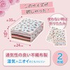 - ̃TCY~!10cm ߗސ v`[Y 2g AXg 59223800
