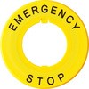60052772