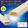 DZ-AMT309-M/10P e[vtABS[ 3 91cm 10{ I[d@ 60138910