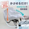 - ]ԁEt@~[oCNpJo[ obNt AXg 60231310