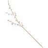 FJ002062 vYtH[Z`A MAGIQ() 60301240