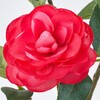 FJ007539-003 񉳏 MAGIQ() 60301459