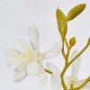 FM001219-001 }iI[Lbh MAGIQ() 60302055