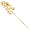 FM001219-004 }iI[Lbh MAGIQ() 60302080