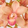 FM001229-009 N[VrWE MAGIQ() 60302098