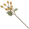 FM001320-026 jAXGWE MAGIQ() 60302141