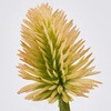 FM001320-026 jAXGWE MAGIQ() 60302141