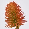 FM001320-028 jAXGWE MAGIQ() 60302150