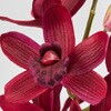 FM002800-007 \[I[Lbh MAGIQ() 60302405