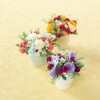 FM004120-017 ~jXv[} MAGIQ() 60302570