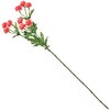 FM004120-006 ~jXv[} MAGIQ() 60302561