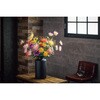 FM002651-009 ܂莅e MAGIQ() 60302387