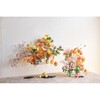 FM004172 i`x[u` MAGIQ() 60302579