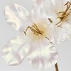 FJ003135-001 rW[VNiQ MAGIQ() 60311381