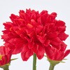 FM000335-003 u[~[} MAGIQ() 60311426