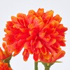 FM000335-009 u[~[} MAGIQ() 60311435
