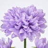 FM000335-011 u[~[} MAGIQ() 60311460