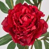FM000655-003 t@rXsIj[ MAGIQ() 60311548