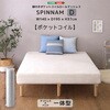 rt|PbgRC[}bgXySPINNAM-Xsi-z _uTCY