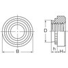 ZtN`Oibg(SUS304p) CFSS (XeX)