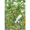 C-681-P-1300 Upj TAKIGEN(^LQ) 60413075