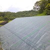 1X20M xsDzhV[g  ZteB[3 60439736
