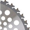 230mm x 36P ΂ɋ`bv\[ ZteB[3 60439901