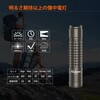 N8F tH[JXX^NeBJCg 1000LM Nicron(jN) 60440506