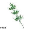 七夕枝笹スプレー 53cm 10本 ノーブランド